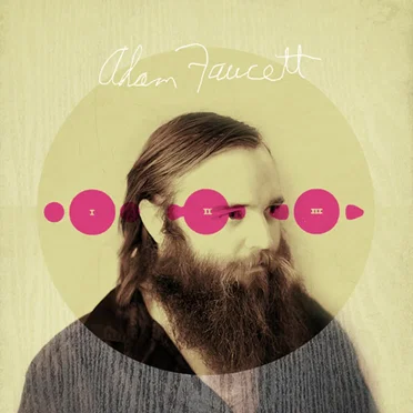 More Like a Temple by Adam Faucett - album cover