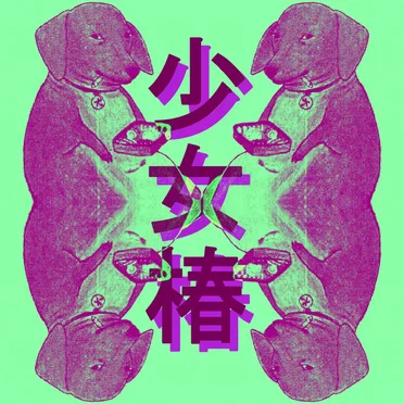 Taban charcha by La Chica de Las Camelias - album cover