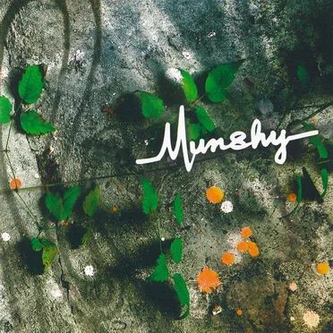 Munshy