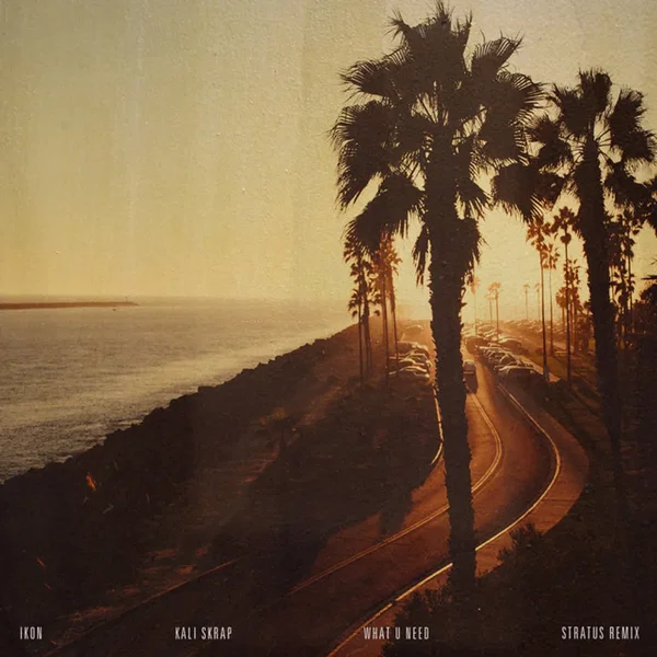 What U Need (Stratus Remix)