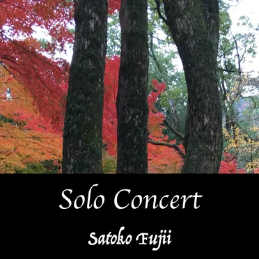 Solo Concert