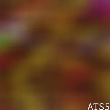 Ambient Trance State 5 by WORMSWORTH - album cover