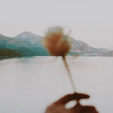 I’m in Love With You