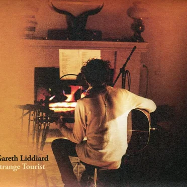 Strange Tourist by Gareth Liddiard - album cover
