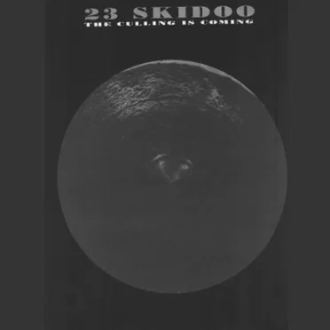 23 Skidoo