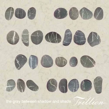 The Gray Between Shadow and Shade by Trillion - album cover