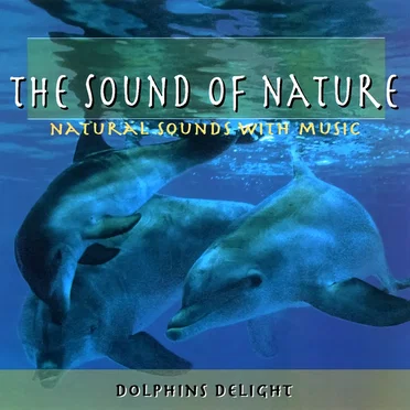 The Sound of Nature: Dolphins Delight