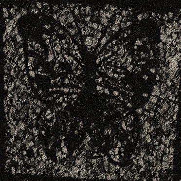 Auditory Depressants by Silent Cicada - album cover
