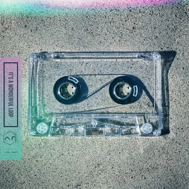 IT'S A WONDERFUL LOOP by Mord Fustang - album cover
