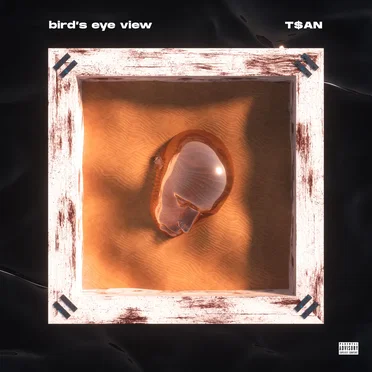 Bird’s Eye View by T$AN - album cover