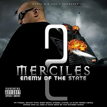 Enemy Of The State 2