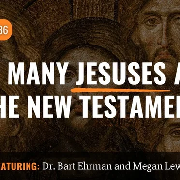 Misquoting Jesus With Bart Ehrman #136, “How Many Jesuses Are in the New Testament?” by Bart D. Ehrman - album cover