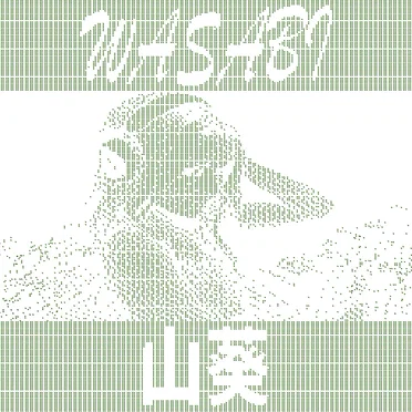 Wasabi