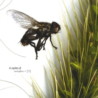 Metaphor +2 by in.spite.of - album cover