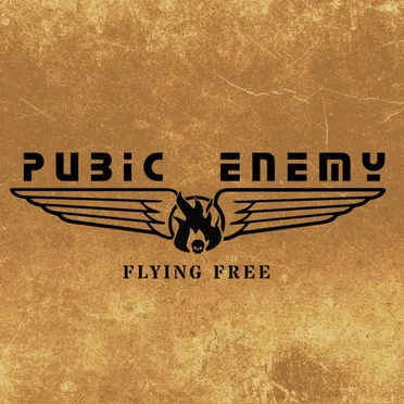 Flying Free