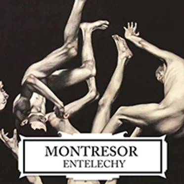 Entelechy by Montresor - album cover