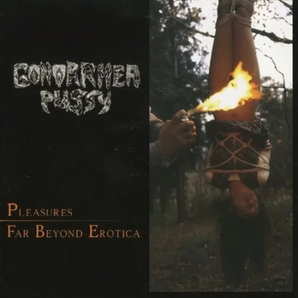 Pleasures Far Beyond Erotica / Twisted Treatement Of Periodic Prostitutes