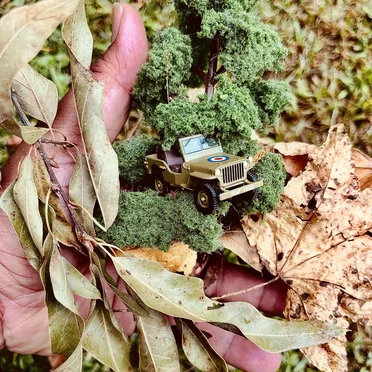 Jeep in the Fall