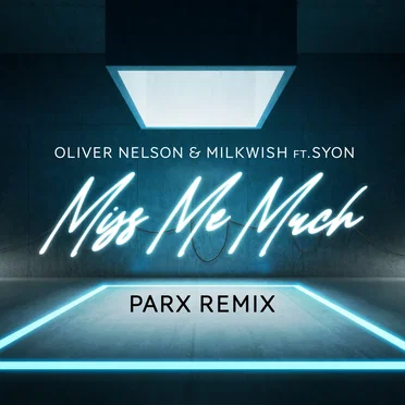 Miss Me Much (Parx remix)