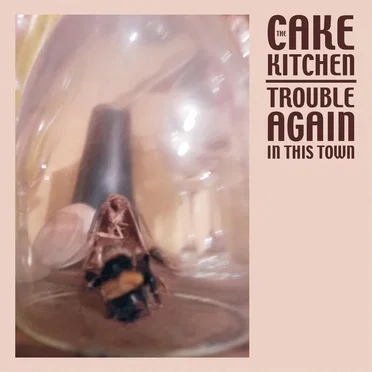 The Cakekitchen