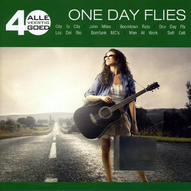 Alle 40 goed: One Day Flies by Various Artists - album cover