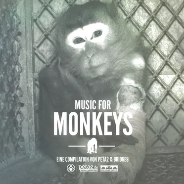 Music for Monkeys by Various Artists - album cover
