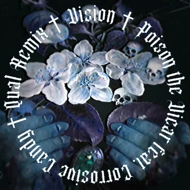 Vision (Qual remix)