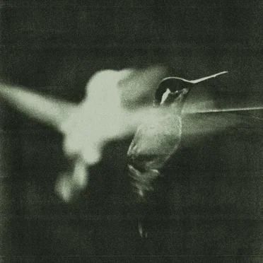 Whisper by Wings of Desire - album cover