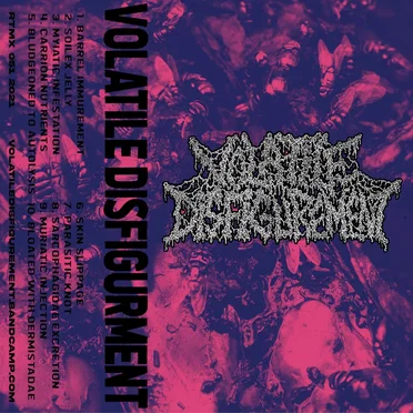 Volatile Disfigurement by Volatile Disfigurement - album cover