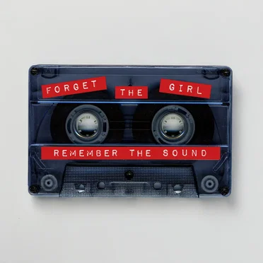 Remember The Sound by Forget The Girl - album cover