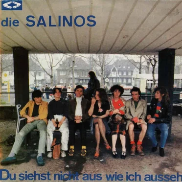 Du siehst nicht aus wie ich ausseh by Die Salinos - album cover
