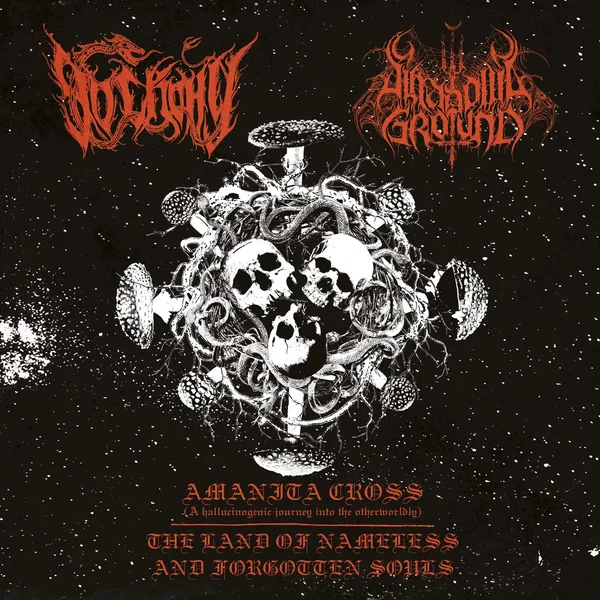 Amanita Cross - The Land of Nameless and Forgotten Souls