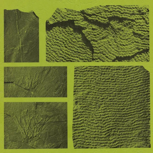 Geosyncline