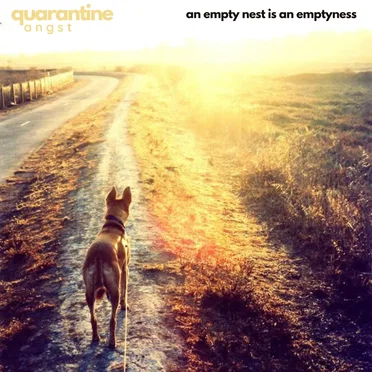 An Empty Nest is an Emptyness