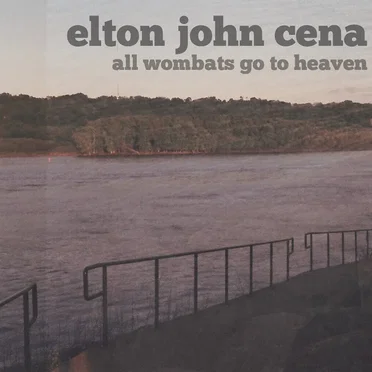 elton john cena