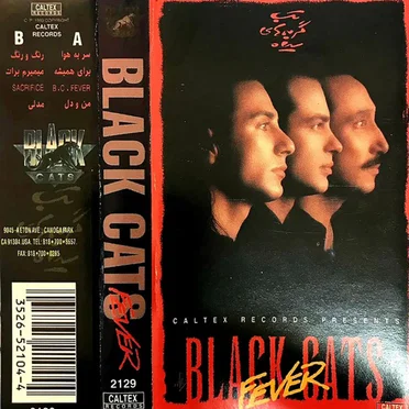 Black Cats Fever - Persian Music