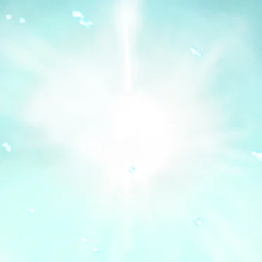 ハイライト