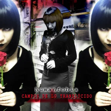 Campos de lo Translúcido