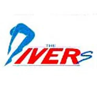 The Divers by The Divers - album cover