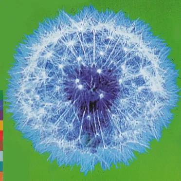 A Week or Two in the Real World by Various Artists - album cover