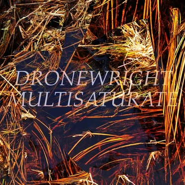 multisaturate by DRONEWRIGHT - album cover