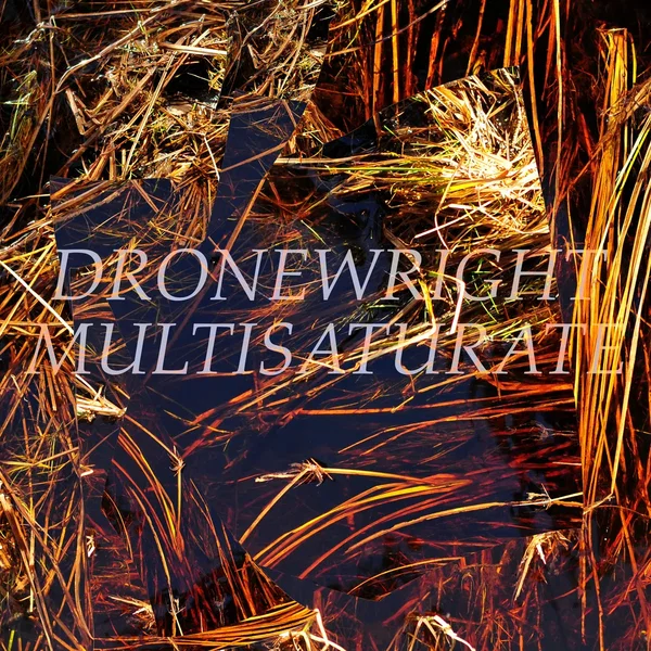 multisaturate