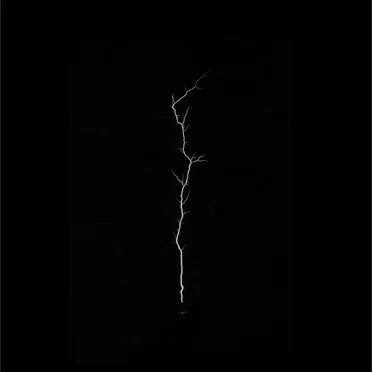Five Years Of Annulled by Various Artists - album cover