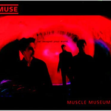 Muscle Museum