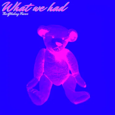 What We Had by The Gliding Faces - album cover
