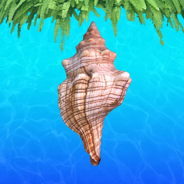 ＳＥＡＷＡＶＥ