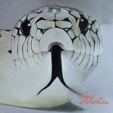 Seres abisales by Selvática - album cover