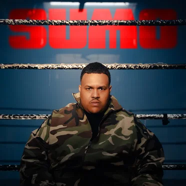 SUMO by DIKKE - album cover