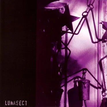 Long Lost by Lunasect - album cover