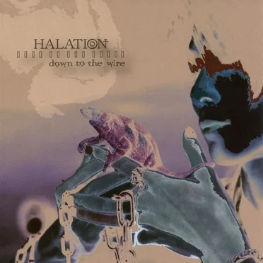 down to the wire by HALATION - album cover
